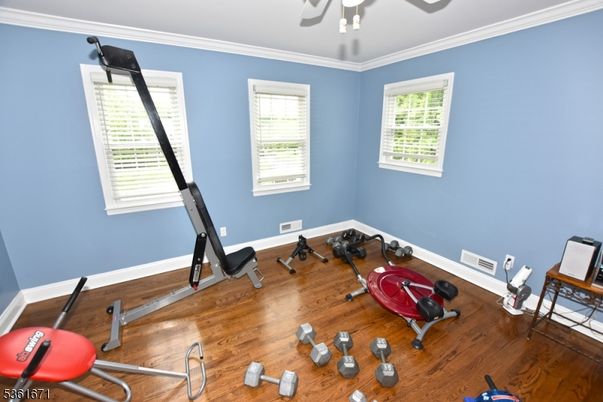 Fitness Equipment, Interior, Wood Texture Flooring