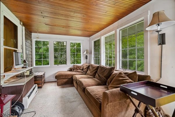 Interior, Living room, Wooden Ceilings