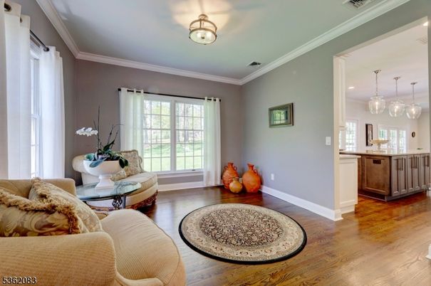 Interior, Living room, Pendant Lights, Wood Texture Flooring