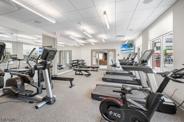Fitness Equipment, Gym, Interior, Recessed Lighting
