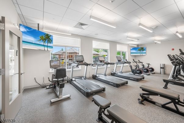 Fitness Equipment, Gym, Interior, Recessed Lighting