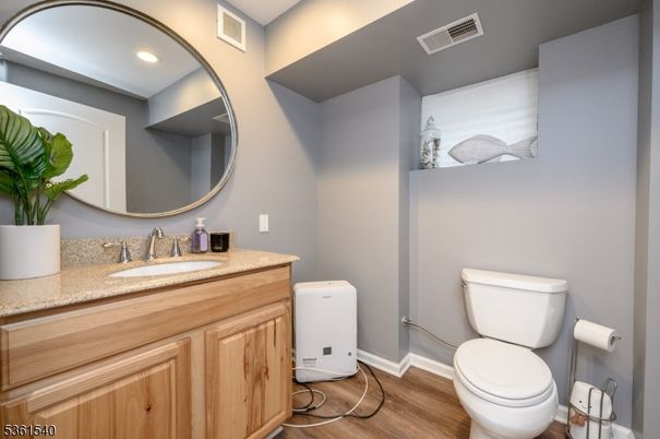 Bathroom, Interior, Recessed Lighting, Wood Texture Flooring