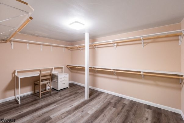 Interior, Walk-in Closets, Wood Texture Flooring
