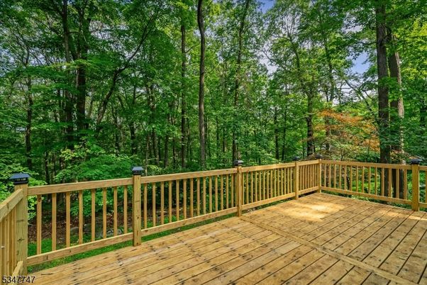 Exterior, Wood Texture Flooring