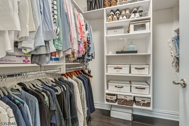 Interior, Walk-in Closets, Wood Texture Flooring