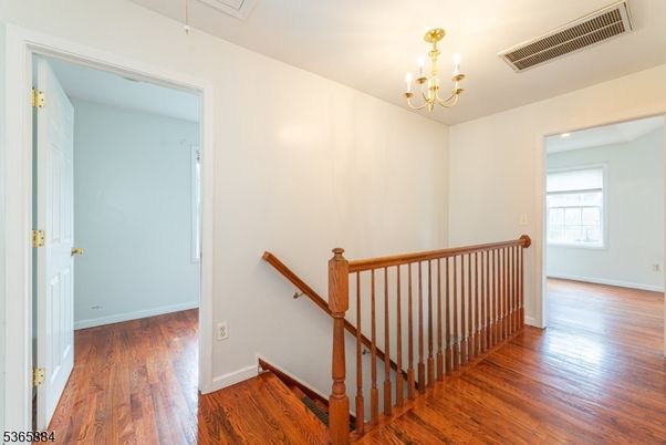 Chandelier, Interior, Wood Texture Flooring
