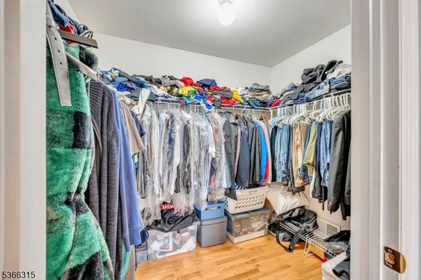Interior, Walk-in Closets, Wood Texture Flooring