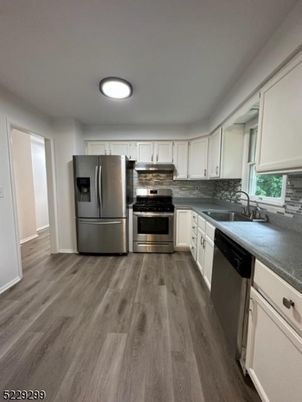 Interior, Kitchen, Stainless Steel Appliances, Wood Texture Flooring