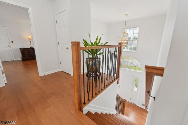Chandelier, Interior, Wood Texture Flooring