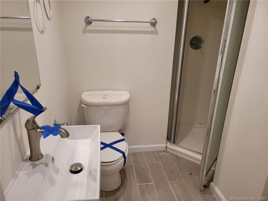 Bathroom, Glass Shower, Interior, Wood Texture Flooring