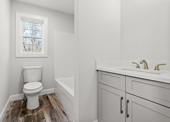 Bathroom, Interior, Wood Texture Flooring