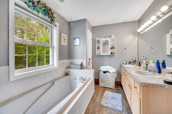 Bathroom, Dual Sink Vanities, Interior, Wood Texture Flooring