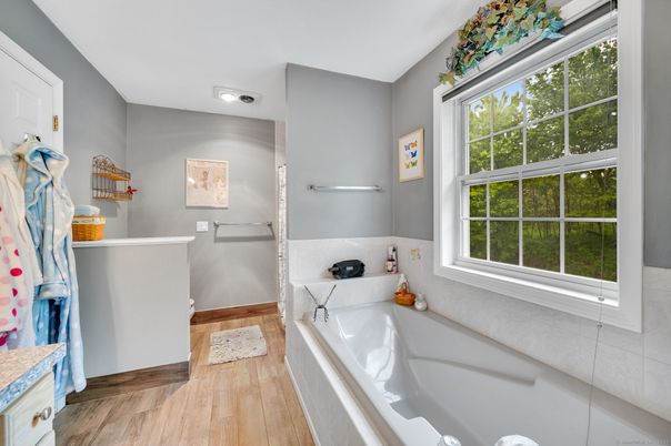 Bathroom, Interior, Recessed Lighting, Wood Texture Flooring