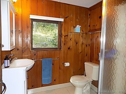 Bathroom, Interior, Wooden Walls