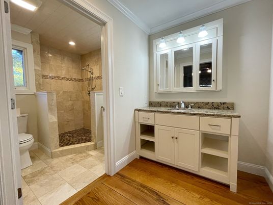 Bathroom, Interior, Recessed Lighting, Wood Texture Flooring