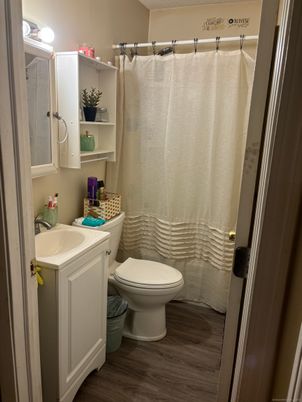 Bathroom, Interior, Wood Texture Flooring