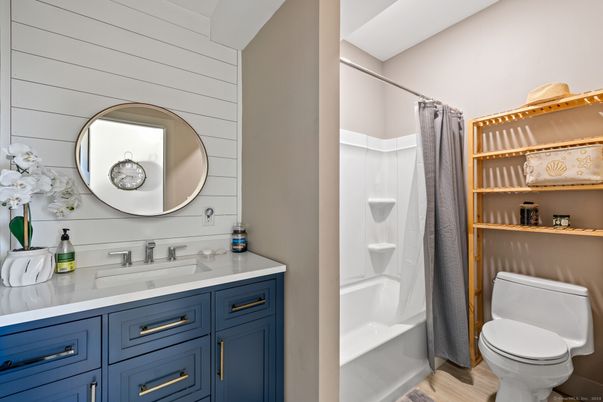 Bathroom, Interior, Wood Texture Flooring