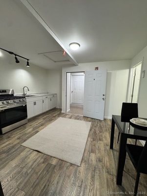 Interior, Kitchen, Stainless Steel Appliances, Wood Texture Flooring