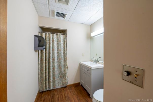 Bathroom, Interior, Wood Texture Flooring