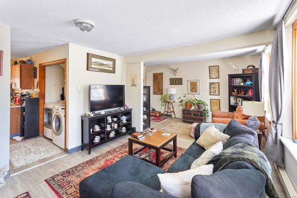 Interior, Living room, Washer, Wood Texture Flooring