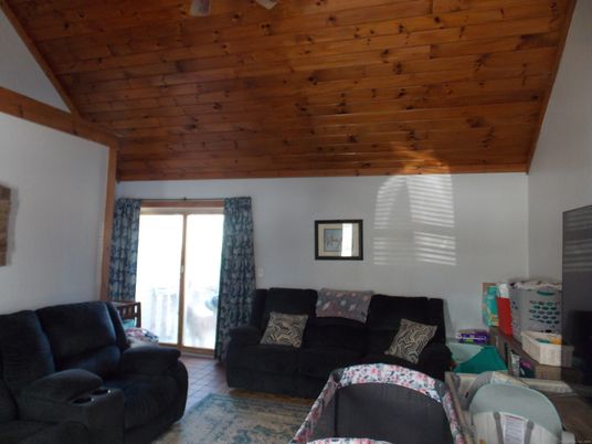 Interior, Living room, Wooden Ceilings