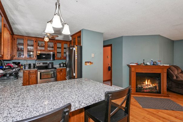 Fireplace, Interior, Kitchen, Stainless Steel Appliances, Wood Texture Flooring
