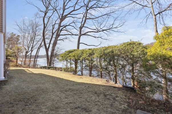 Backyard, Exterior, Water