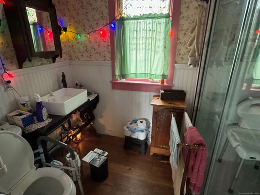 Bathroom, Interior, Wood Texture Flooring