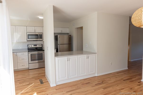 Interior, Kitchen, Stainless Steel Appliances, Wood Texture Flooring