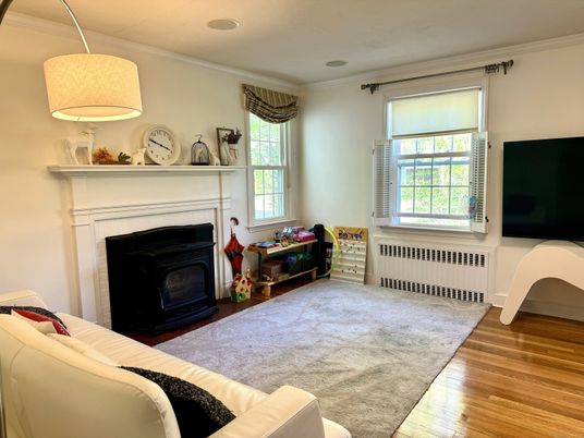 Fireplace, Interior, Wood Texture Flooring
