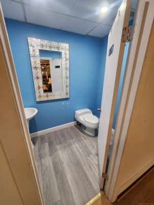 Bathroom, Interior, Recessed Lighting, Wood Texture Flooring