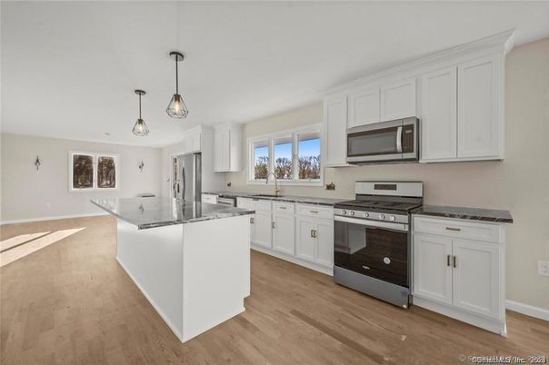 Interior, Kitchen, Pendant Lights, Stainless Steel Appliances, Wood Texture Flooring