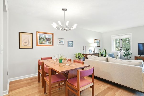 Dining room, Interior, Living room, Pendant Lights, Wood Texture Flooring