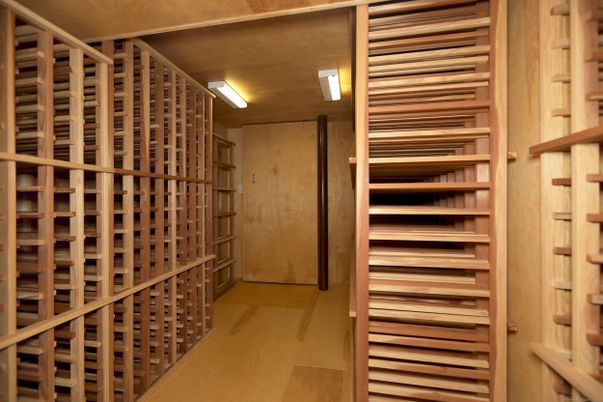 Interior, Wine Storage, Wood Texture Flooring