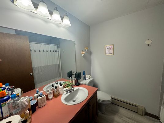 Bathroom, Interior, Wood Texture Flooring