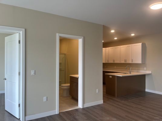 Bathroom, Interior, Recessed Lighting, Wood Texture Flooring