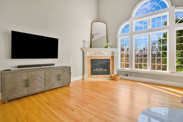 Fireplace, Interior, Wood Texture Flooring