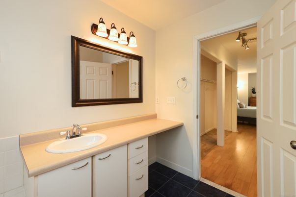 Bathroom, Dual Sink Vanities, Interior, Wood Texture Flooring