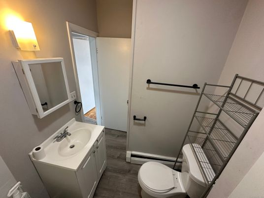 Bathroom, Interior, Wood Texture Flooring