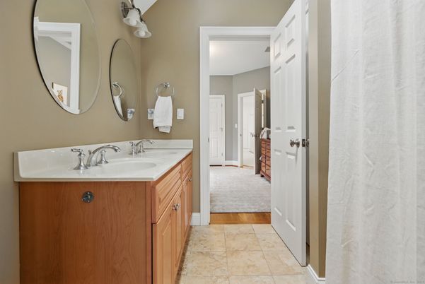 Bathroom, Dual Sink Vanities, Interior, Wood Texture Flooring