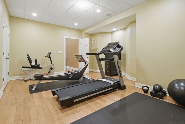Fitness Equipment, Interior, Recessed Lighting, Wood Texture Flooring
