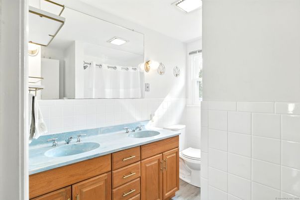 Bathroom, Dual Sink Vanities, Interior, Wood Texture Flooring