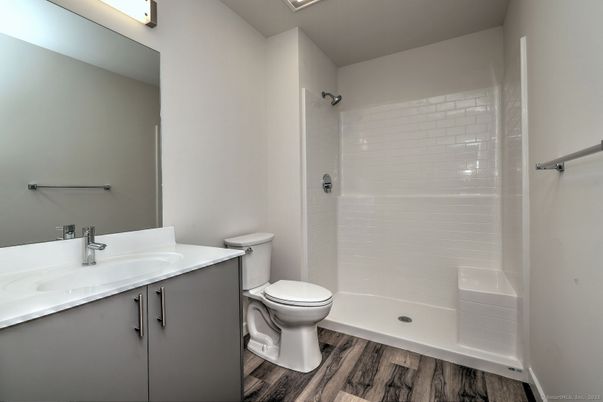 Bathroom, Interior, Wood Texture Flooring