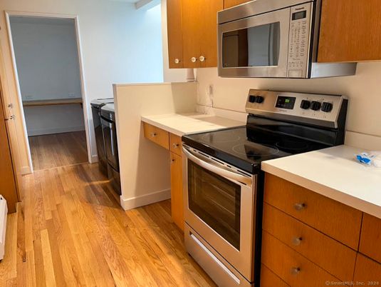 Interior, Kitchen, Washer, Wood Texture Flooring