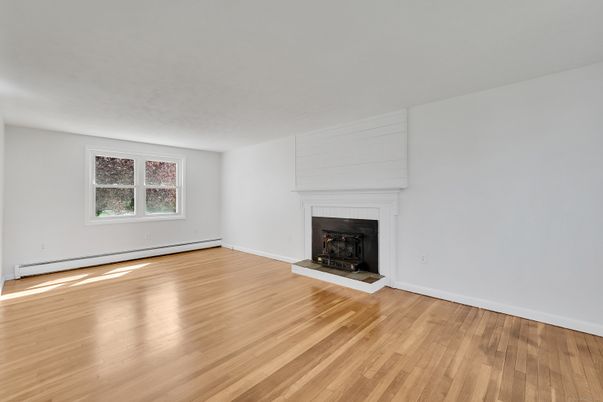 Empty room, Fireplace, Interior, Wood Texture Flooring