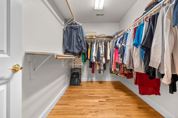 Interior, Walk-in Closets, Wood Texture Flooring