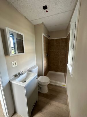 Bathroom, Interior, Wood Texture Flooring