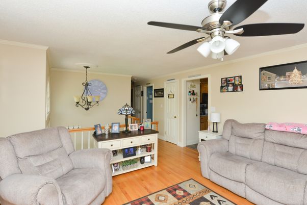 Interior, Living room, Pendant Lights, Wood Texture Flooring