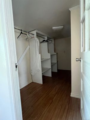 Interior, Walk-in Closets, Wood Texture Flooring