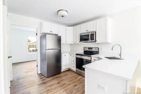 Interior, Kitchen, Stainless Steel Appliances, Wood Texture Flooring